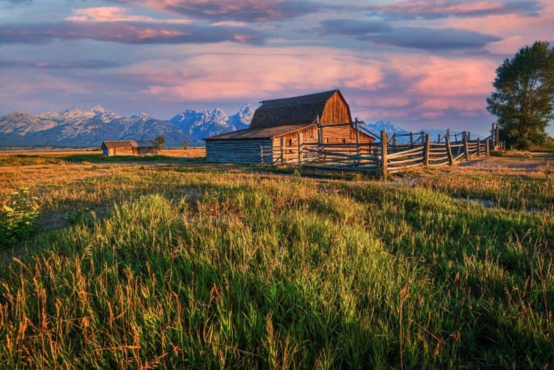 Early morning at Mormon Row, Grand Teton.
