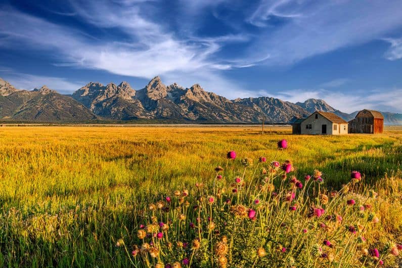 grand Teton barns wall art