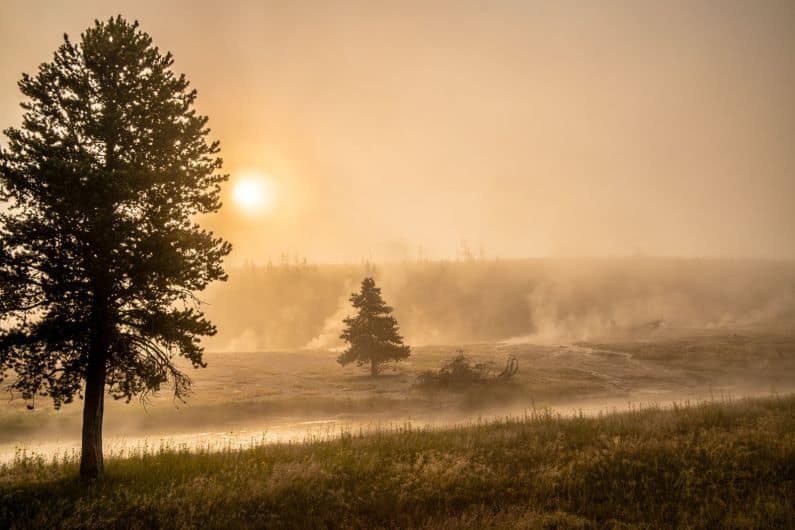 early morning sunrise yellwostone