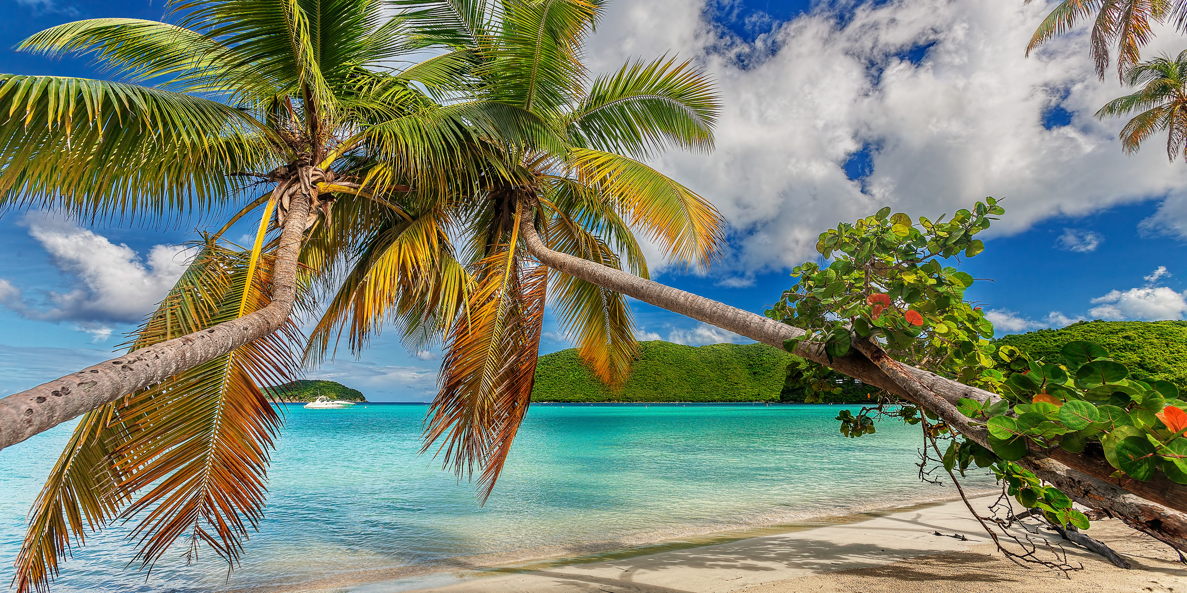 Underwater Tropical wall art for living room or office 1 Underwater Tropical wall art for living room or office